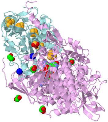 Image Biological Unit 3