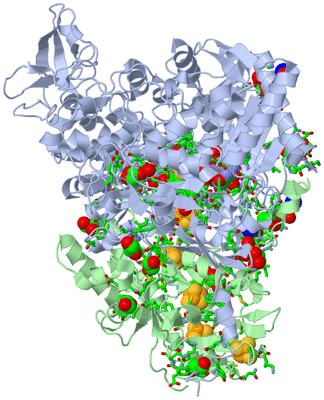 Image Biol. Unit 1 - sites