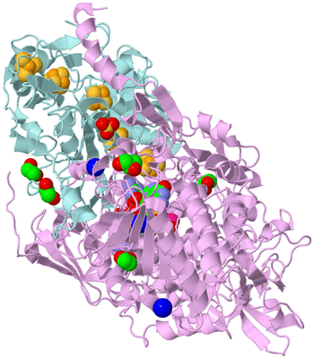 Image Biological Unit 3