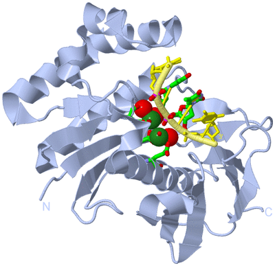 Image Biol. Unit 1 - sites