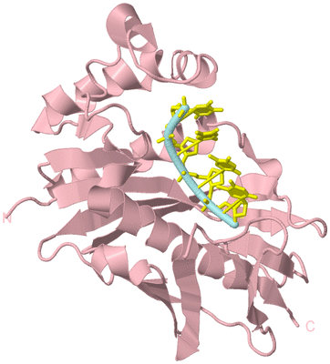 Image Biological Unit 3