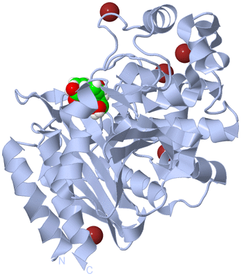 Image Biological Unit 1