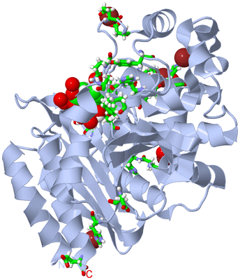 Image Biol. Unit 1 - sites