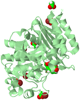 Image Biological Unit 2