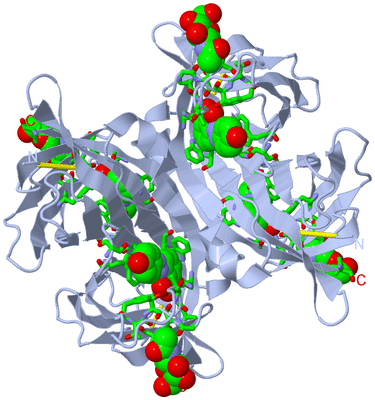 Image Biol. Unit 1 - sites