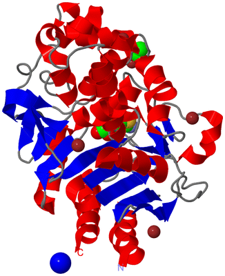 Image Asym./Biol. Unit