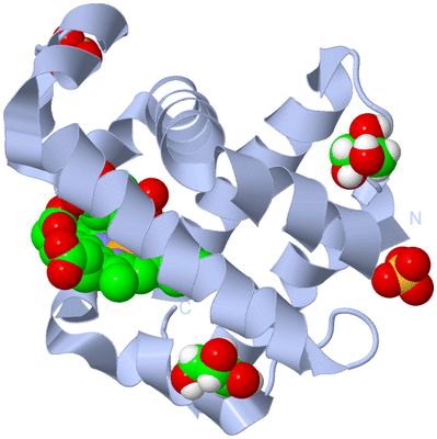 Image Biological Unit 1