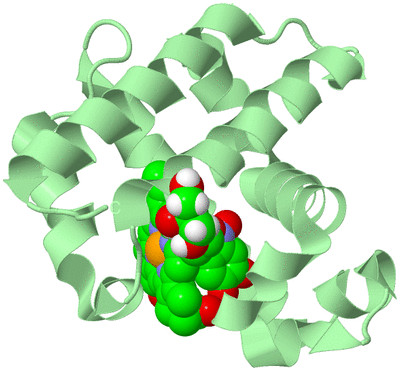 Image Biological Unit 2