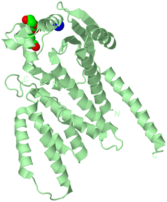 Image Biological Unit 2