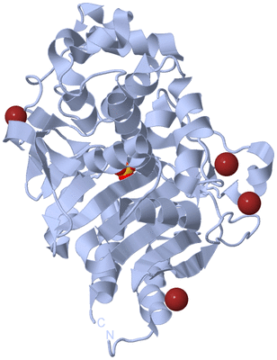 Image Biological Unit 1