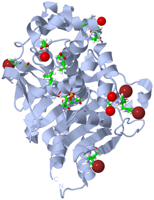 Image Biol. Unit 1 - sites