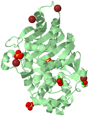 Image Biological Unit 2