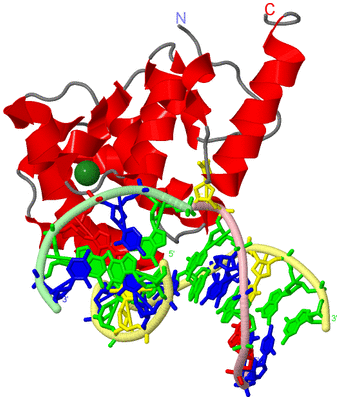 Image Asym./Biol. Unit