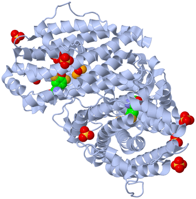 Image Biological Unit 1