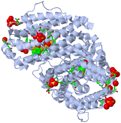 Image Biol. Unit 1 - sites