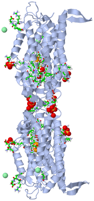 Image Biol. Unit 1 - sites