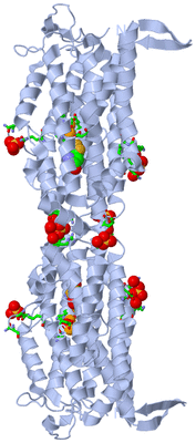 Image Biol. Unit 1 - sites