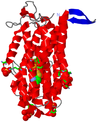 Image Asym. Unit - sites