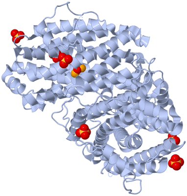 Image Biological Unit 1