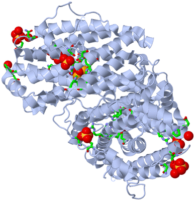 Image Biol. Unit 1 - sites