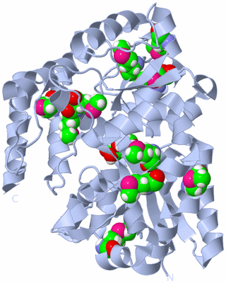 Image Biological Unit 1