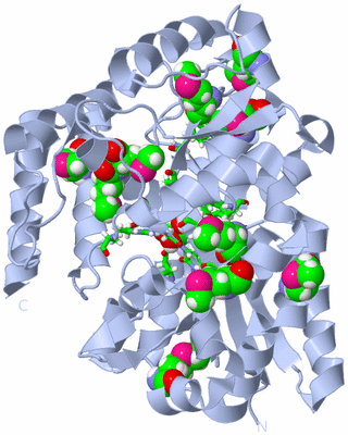 Image Biol. Unit 1 - sites