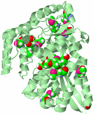 Image Biological Unit 2