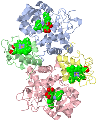 Image Asym./Biol. Unit