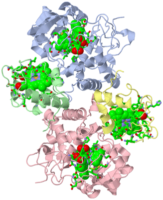 Image Asym./Biol. Unit - sites