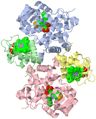 Image Asym./Biol. Unit