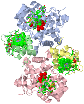 Image Asym./Biol. Unit - sites