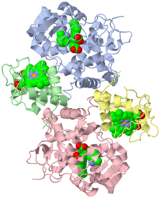 Image Asym./Biol. Unit