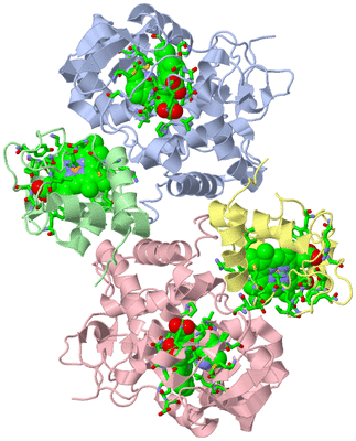 Image Asym./Biol. Unit - sites