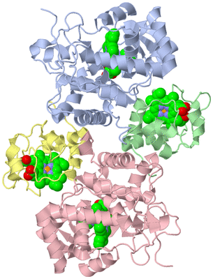 Image Asym./Biol. Unit