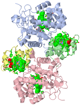 Image Asym./Biol. Unit - sites