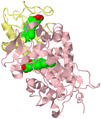 Image Biological Unit 2