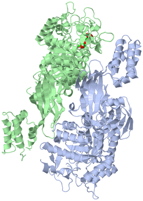 Image Asym./Biol. Unit