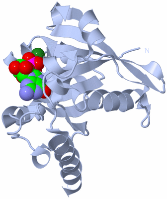 Image Biological Unit 1