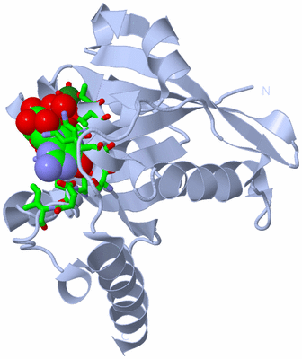 Image Biol. Unit 1 - sites