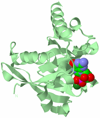 Image Biological Unit 2