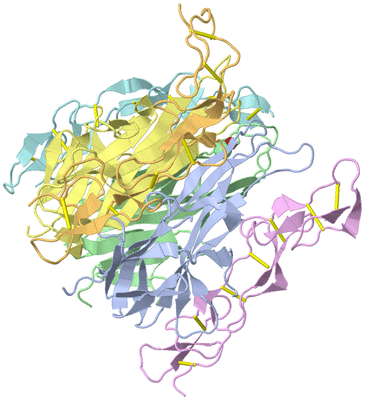 Image Asym./Biol. Unit