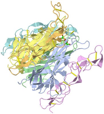 Image Asym./Biol. Unit - sites