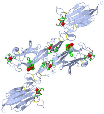 Image Biol. Unit 1 - sites