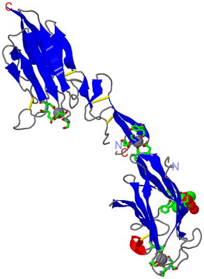 Image Asym. Unit - sites