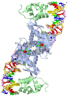 Image Biological Unit 1