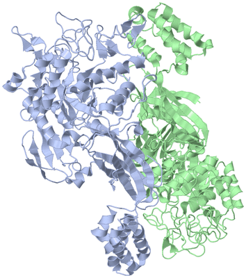 Image Asym./Biol. Unit