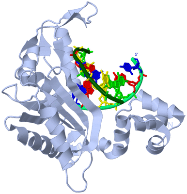 Image Biological Unit 1