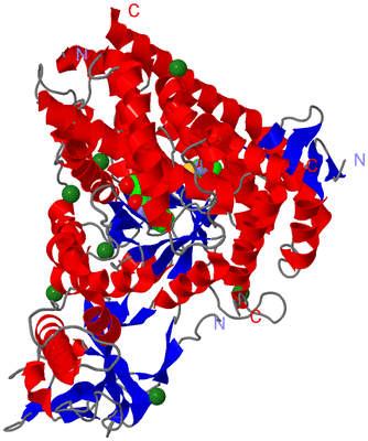 Image Asym./Biol. Unit