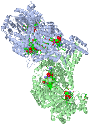 Image Asym./Biol. Unit - sites