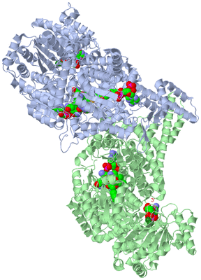 Image Asym./Biol. Unit